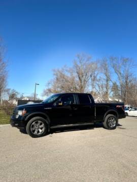 2011 Ford F-150 for sale at Station 45 AUTO REPAIR AND AUTO SALES in Allendale MI