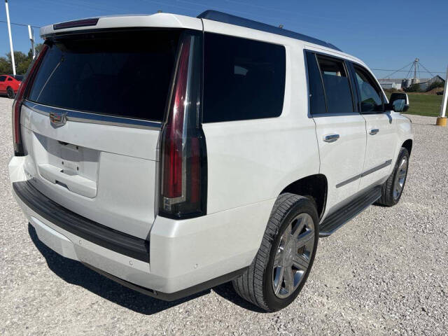 2017 Cadillac Escalade for sale at Springer Auto Sales in Waterloo, IL