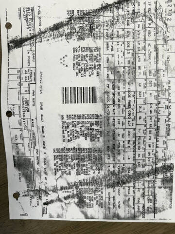 1981 Pontiac Firebird Trans Am