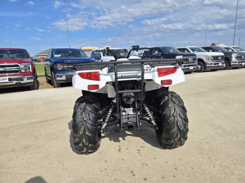 2025 Kawasaki Brute Force™