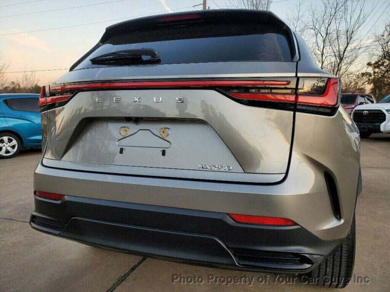 2024 Lexus NX 250