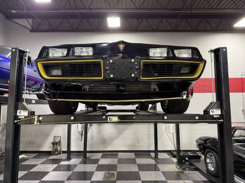 1981 Pontiac Firebird Trans Am