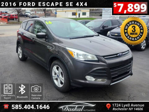 2016 Ford Escape for sale at Daskal Auto LLC in Rochester NY