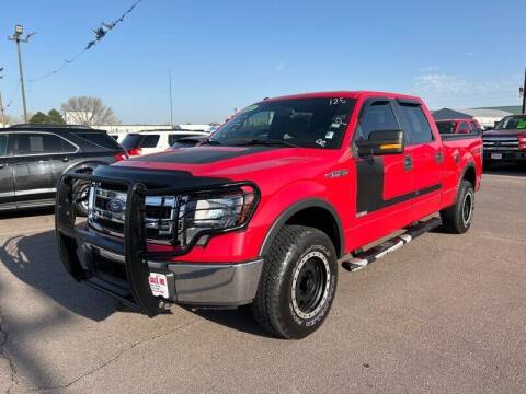 2013 Ford F-150 for sale at De Anda Auto Sales in South Sioux City NE