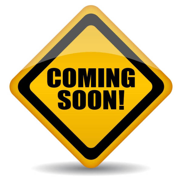 2019 Chevrolet Express 3500