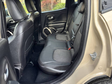 2017 Jeep Renegade Deserthawk