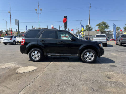 2011 Ford Escape XLT