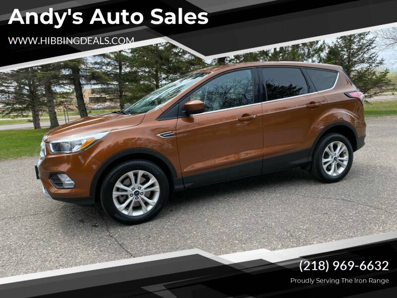 2017 Ford Escape for sale at Andy's Auto Sales in Hibbing MN