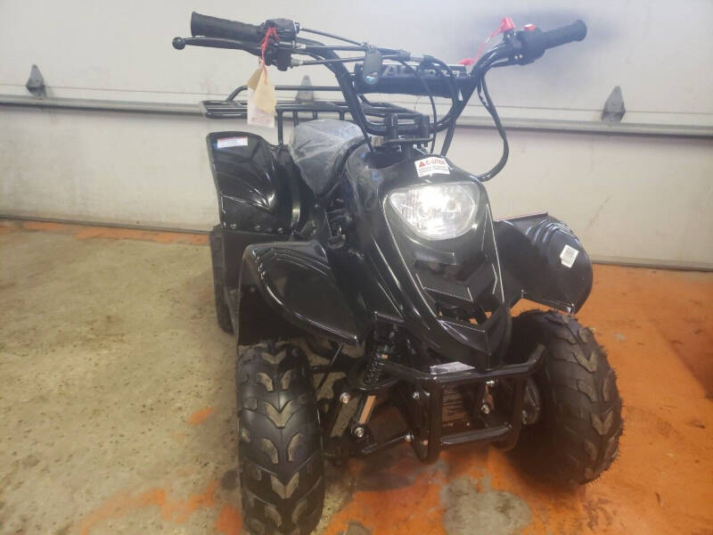 2020 Tao Tao 110B for sale at SMALL TOWN AUTO SALES - ATV's in Angola IN