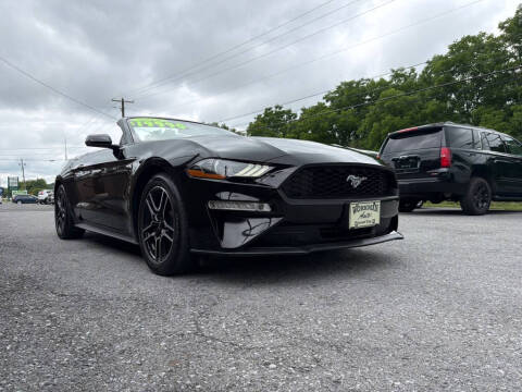2019 Ford Mustang