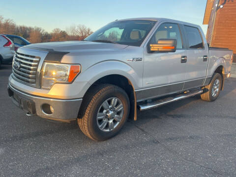 2011 Ford F-150 for sale at H & G AUTO SALES LLC in Princeton MN