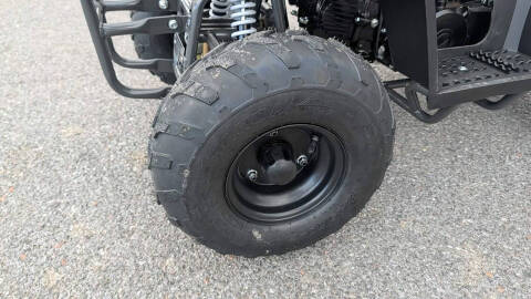 2024 TrailMaster Mini 110 Sport