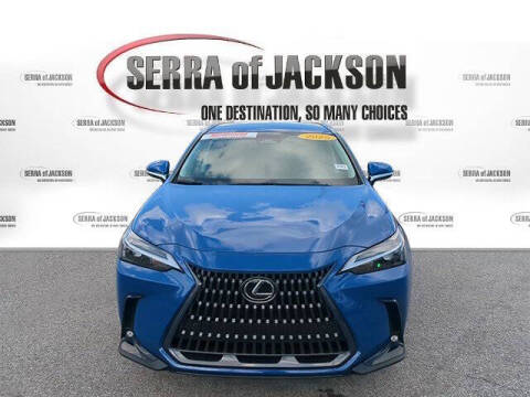 2025 Lexus NX 250