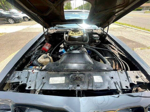 1981 Pontiac Trans Am