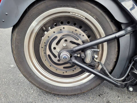 2015 Harley-Davidson FLSTFB