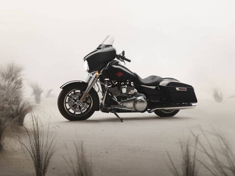 2020 Harley-Davidson Electra Glide Standard