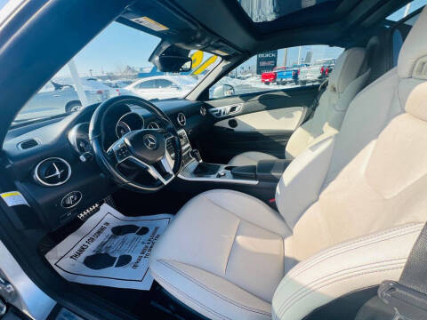 2014 Mercedes-Benz SLK SLK 250