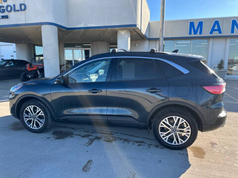 2022 Ford Escape SEL