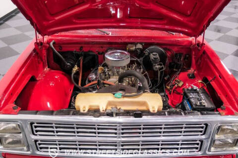 1979 Dodge D150 Pickup