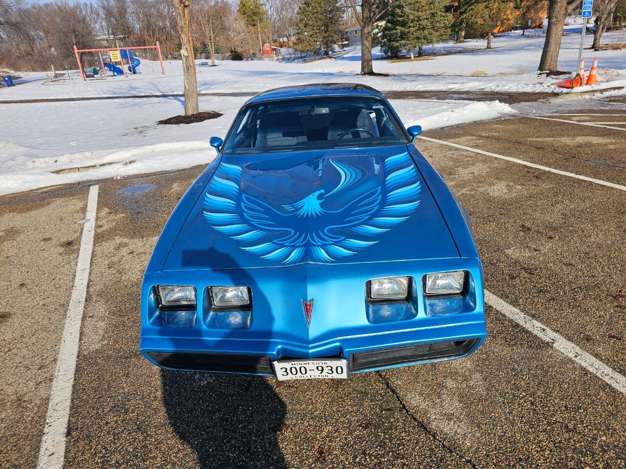 1980 Pontiac Firebird Trans Am 19