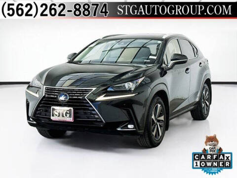 2020 Lexus NX 300h