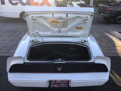 1981 Pontiac Firebird Trans Am