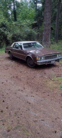 1979 Chevrolet Caprice