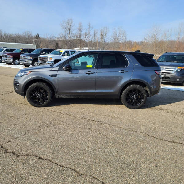 2017 Land Rover Discovery Sport for sale in Princeton, WI