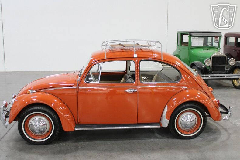 1965 Volkswagen Beetle