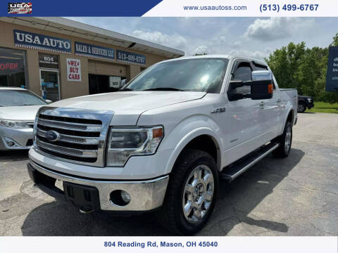 2013 Ford F-150 for sale at USA Auto Sales & Services, LLC in Mason OH