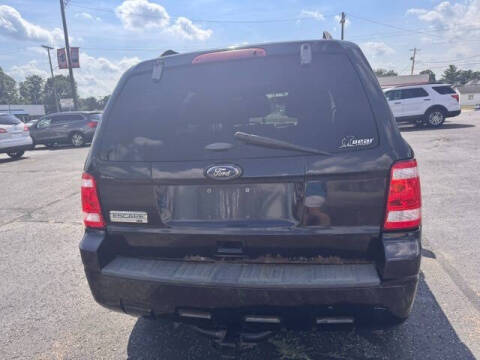 2010 Ford Escape XLT