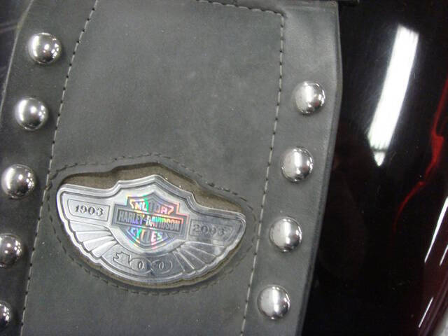 2003 Harley-Davidson Softail®