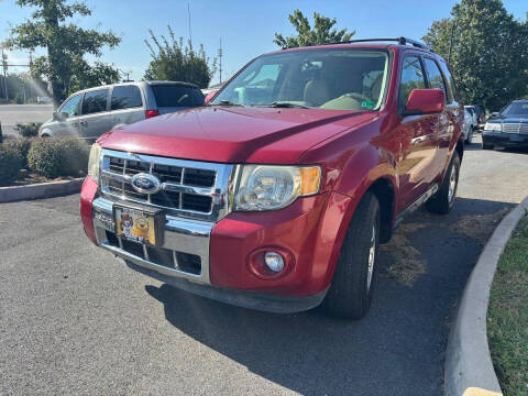 2011 Ford Escape Limited