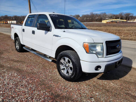2014 Ford F-150 for sale at J & J Auto Sales in Sioux City IA