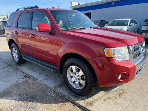 2011 Ford Escape for sale at METRO CITY AUTO GROUP LLC in Lincoln Park MI
