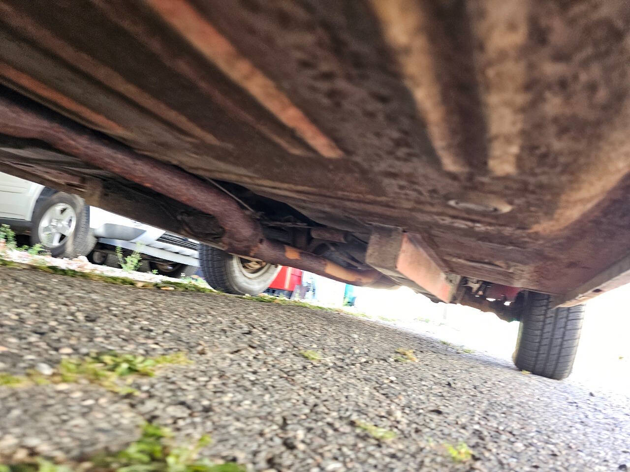 1964 Ford Mustang 204