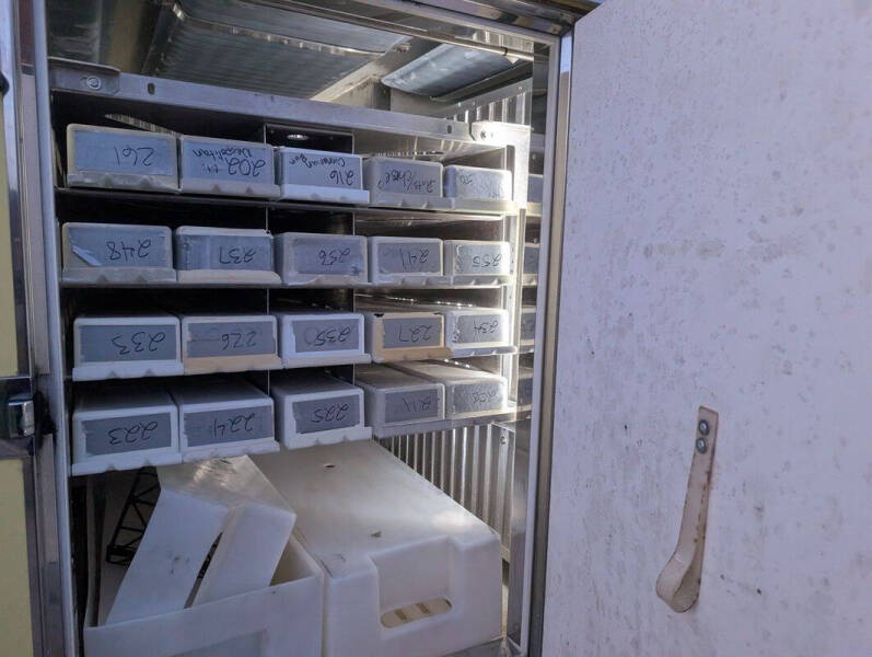 2021 Ford E-Series E-450 SD