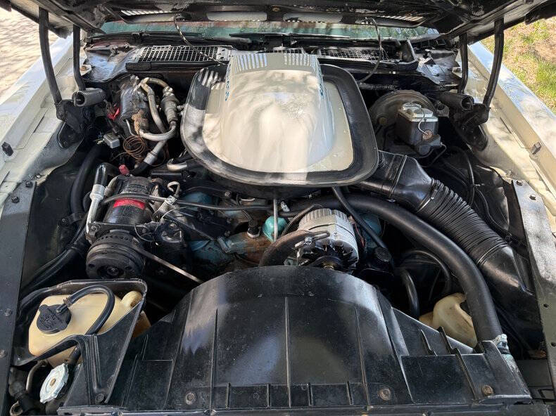 1973 Pontiac Trans Am