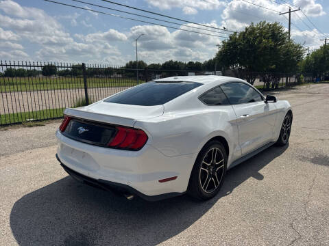 2019 Ford Mustang EcoBoost