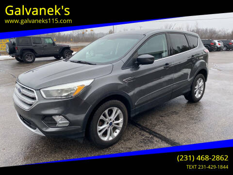 2017 Ford Escape for sale at Galvanek's in Cadillac MI