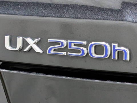 2020 Lexus UX 250h
