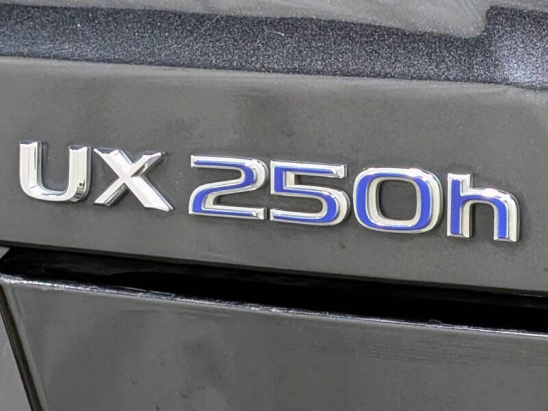 2020 Lexus UX 250h