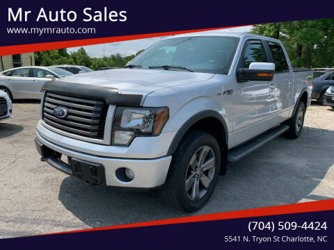 2011 Ford F-150 for sale at Mr Auto Sales in Charlotte NC