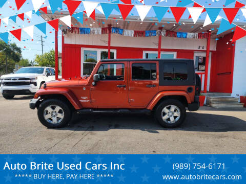 2009 Jeep Wrangler Unlimited for sale at Auto Brite Used Cars Inc in Saginaw MI