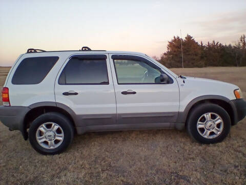 2002 Ford Escape for sale at BALLARD AUTOS & SAND TOYS in Stockton KS