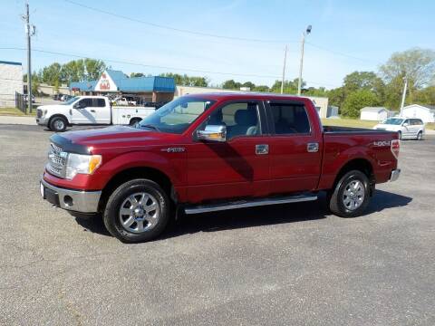 2014 Ford F-150 for sale at Young's Motor Company Inc. in Benson NC