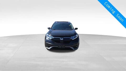 2020 Honda CR-V for sale at INDY AUTO MAN in Indianapolis IN