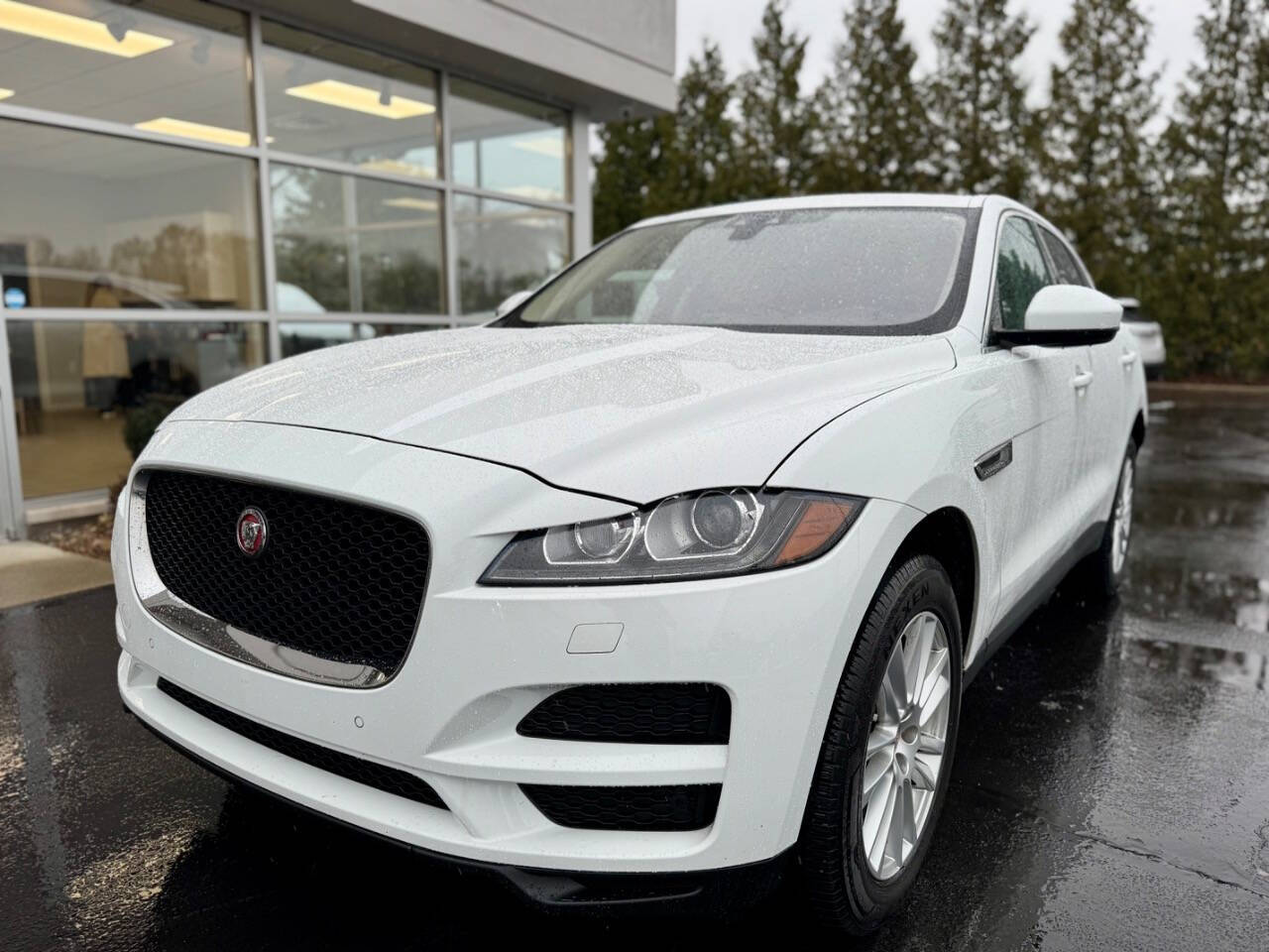 2017 Jaguar F-PACE for sale at Opus Motorcars in Utica, MI