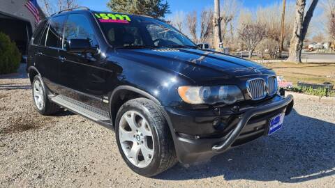 2001 BMW X5 for sale at Sand Mountain Motors in Fallon NV