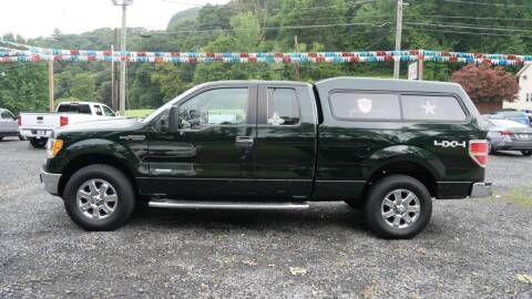 2013 Ford F-150 for sale at RJ McGlynn Auto Exchange in West Nanticoke PA